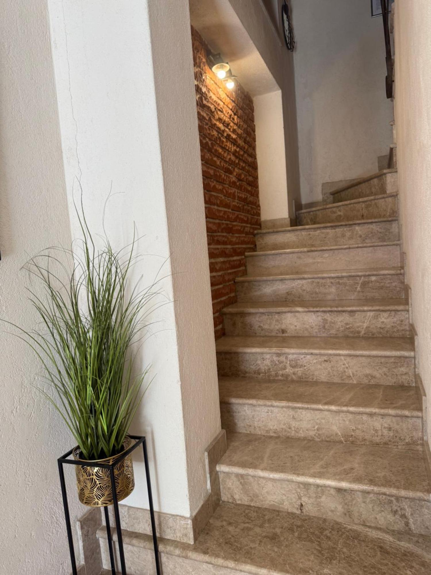 Skver Studio Apartments Χέρτσεγκ Νόβι Εξωτερικό φωτογραφία